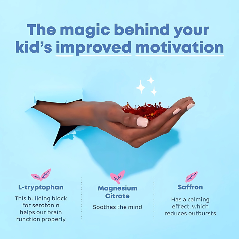 Focus & Calm Back-to-School Bundle