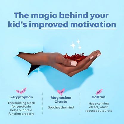 Focus & Calm Back-to-School Bundle